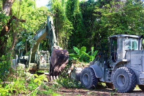 MCED-P 26.2 clears vegetation for future projects