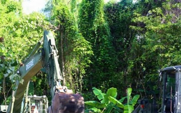 MCED-P 26.2 clears vegetation for future projects