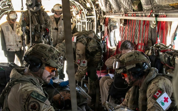 U.S. Military and partner nations participate in HADR exercise during RIMPAC 2026