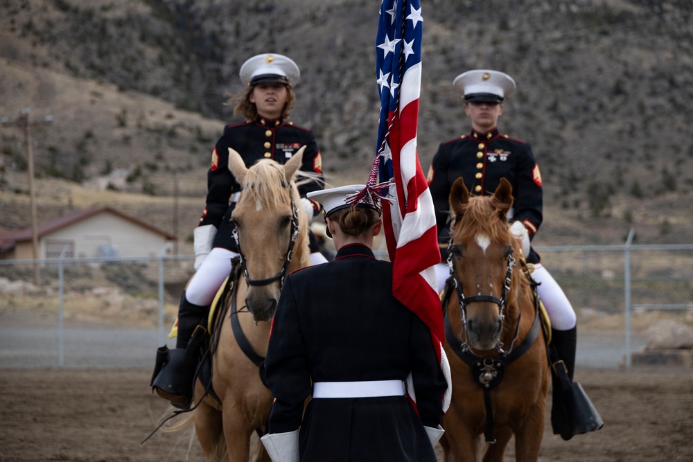 U.S. Marine Corps Mounted Color Guard participates in the Cody Stampede