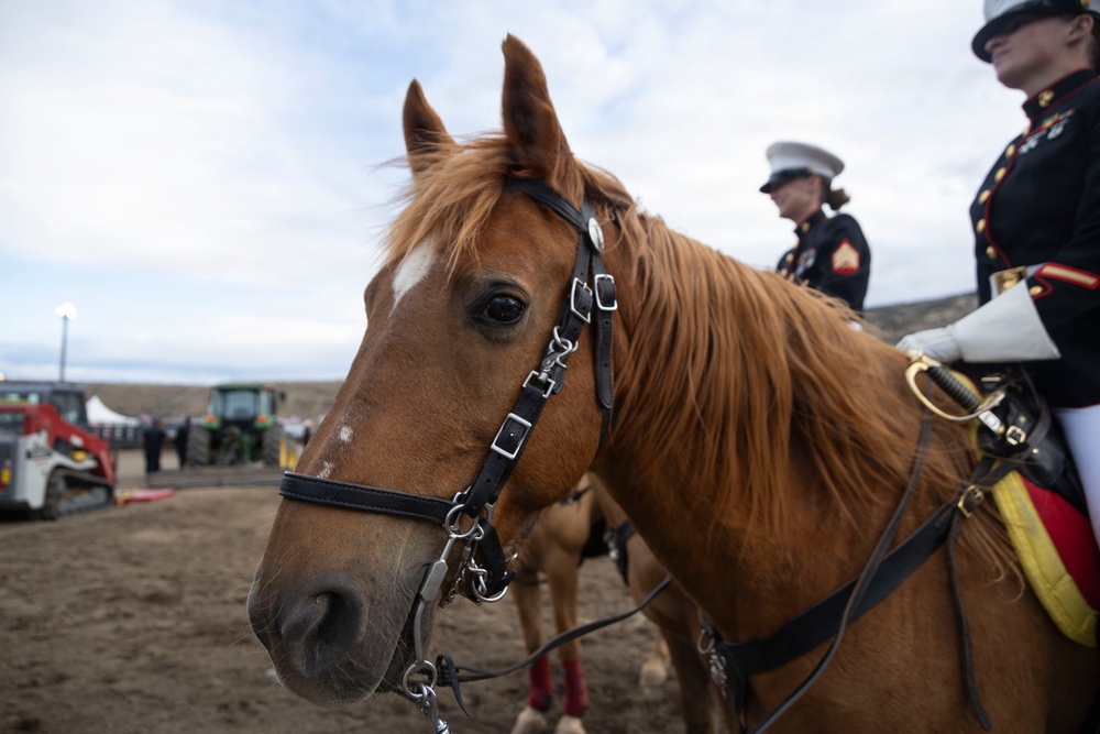 U.S. Marine Corps Mounted Color Guard participates in the Cody Stampede