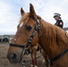 U.S. Marine Corps Mounted Color Guard participates in the Cody Stampede