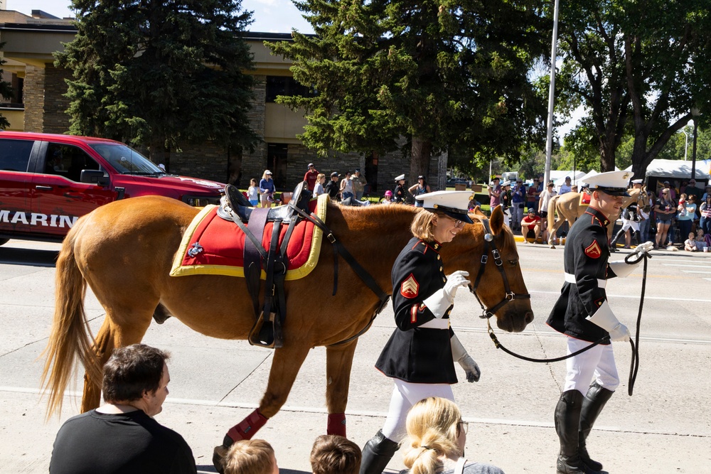 U.S. Marine Corps Mounted Color Guard participates in the Cody Stampede