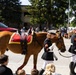 U.S. Marine Corps Mounted Color Guard participates in the Cody Stampede
