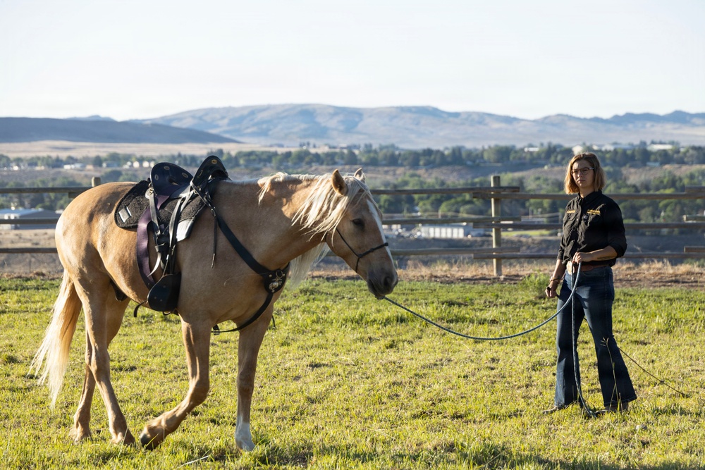 U.S. Marine Corps Mounted Color Guard participates in the Cody Stampede