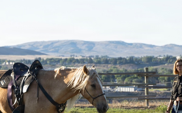 U.S. Marine Corps Mounted Color Guard participates in the Cody Stampede
