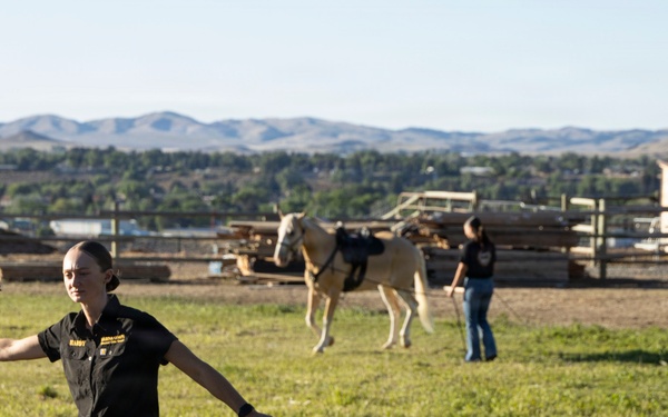 U.S. Marine Corps Mounted Color Guard participates in the Cody Stampede