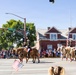 U.S. Marine Corps Mounted Color Guard participates in the Cody Stampede