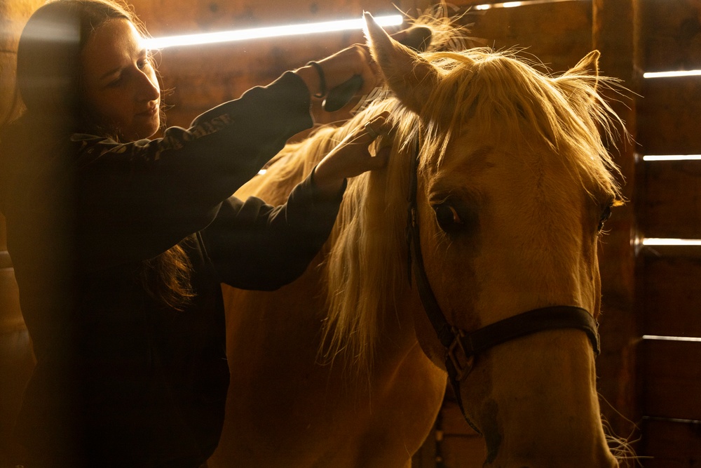 U.S. Marine Corps Mounted Color Guard participates in the Rooftop Rodeo