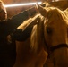 U.S. Marine Corps Mounted Color Guard participates in the Rooftop Rodeo