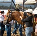 U.S. Marine Corps Mounted Color Guard participates in the Rooftop Rodeo