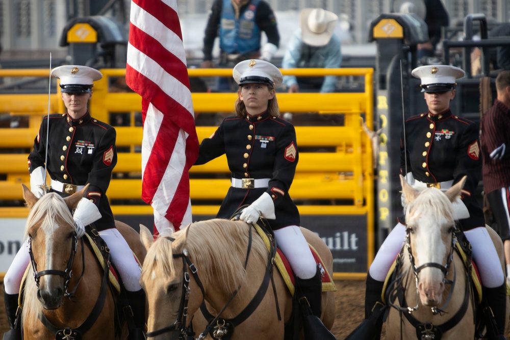 U.S. Marine Corps Mounted Color Guard participates in the Rooftop Rodeo