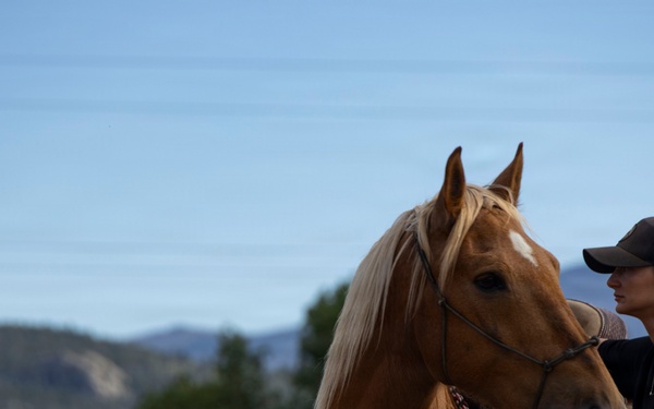 U.S. Marine Corps Mounted Color Guard participates in the Rooftop Rodeo