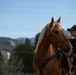 U.S. Marine Corps Mounted Color Guard participates in the Rooftop Rodeo