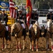 U.S. Marine Corps Mounted Color Guard participates in the Rooftop Rodeo