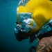 U.S. Navy and Royal New Zealand Navy divers conduct salvage training