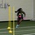 All- Army Sports