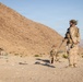 SLTE 4-26: 2nd Combat Engineer Battalion Demolition Range