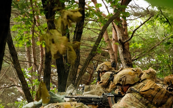 4th Battalion, 23rd Infantry Regiment Platoon Live Fire