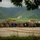 A large group of military personnel pose for a unit photo between two armored vehicles in a mountainous, forested setting. Two unit flags are visible being held in the center of the formation, with the numbers '23' and '4' visible on one flag. The setting appears to be a training area or field exercise location.