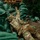 A soldier in full multicam camouflage uniform and tactical vest is lying prone on the ground beside a fortified sandbag position, with one arm extended upward toward the sandbag wall. The setting appears to be a wooded or vegetated area with green woven sandbags stacked as a defensive barrier. A wooden pallet is visible atop the sandbag structure.
