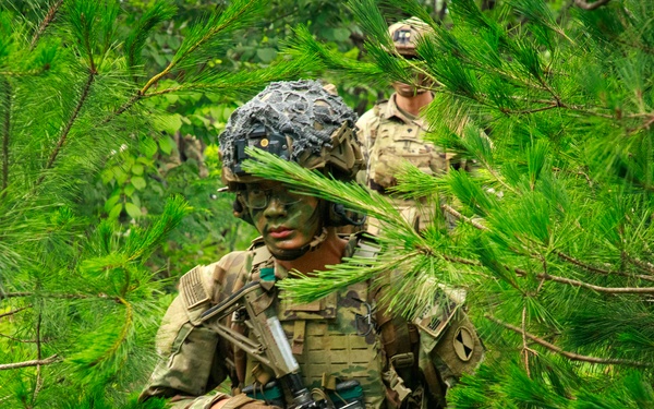 4th Battalion, 23rd Infantry Regiment Platoon Live Fire
