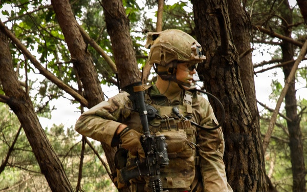 4th Battalion, 23rd Infantry Regiment Platoon Live Fire
