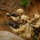 Three soldiers in full combat gear are positioned in a rocky, earthen terrain, aiming weapons in a coordinated tactical formation. They are wearing matching multicam/OCP camouflage uniforms with helmets, tactical vests, and gloves. A red marker flag is visible in the upper right corner, suggesting a training exercise or marked position.
