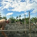 U.S. Navy Seabees build 2-room schoolhouse in Nabua Village, Fiji as part of Pacific Partnership 2026