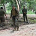 Marines Conduct Mine Detection Training
