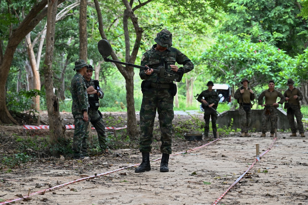 Marines Conduct Mine Detection Training