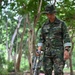 Marines Conduct Mine Detection Training