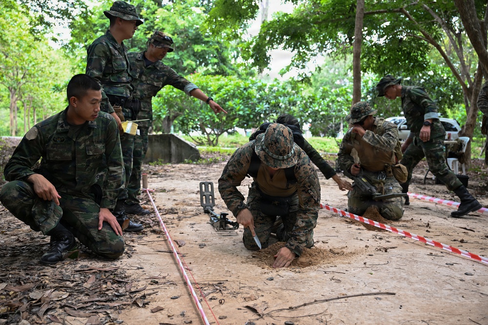 Marines Conduct Mine Detection Training