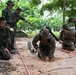 Marines Conduct Mine Detection Training