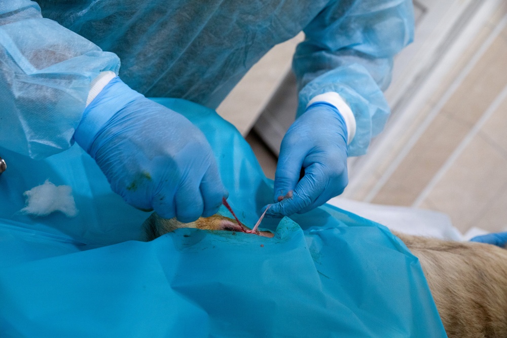 KFOR RC-E supports local veterinary clinic through donation, surgery