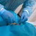 KFOR RC-E supports local veterinary clinic through donation, surgery