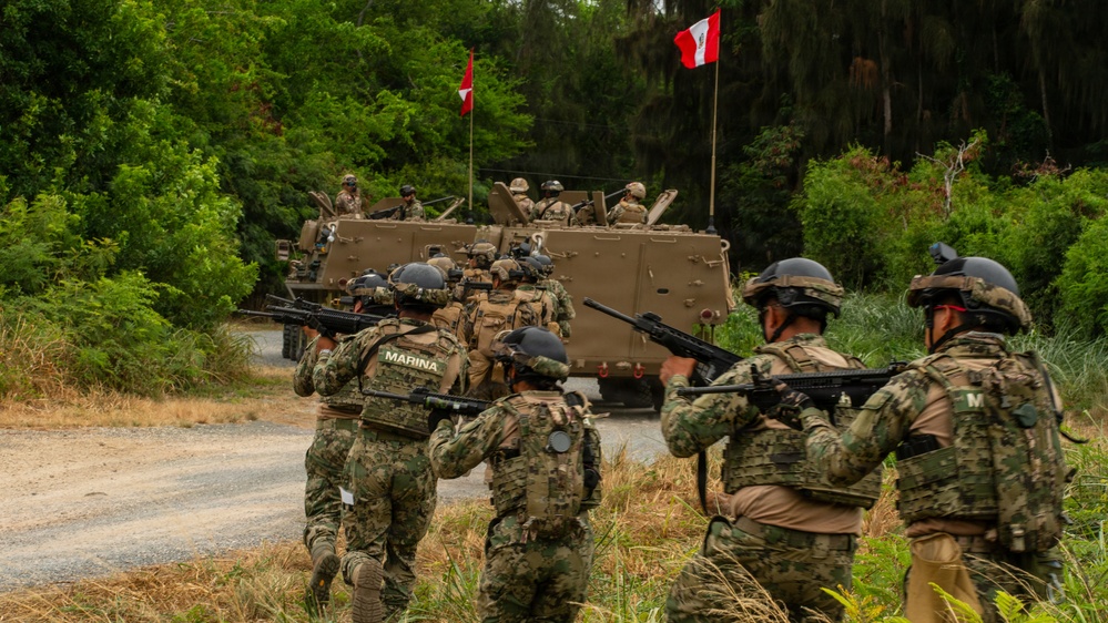Multinational Marines conduct amphibious raid training