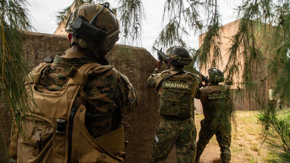 Multinational Marines conduct amphibious raid training