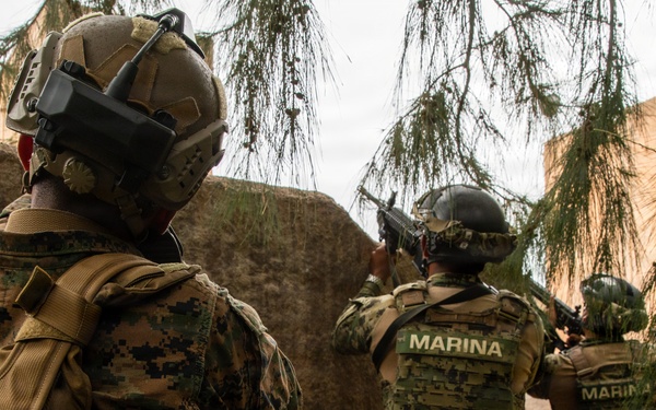 Multinational Marines conduct amphibious raid training