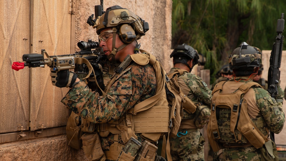 Multinational Marines conduct amphibious raid training