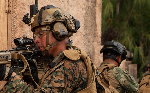 Multinational Marines conduct amphibious raid training