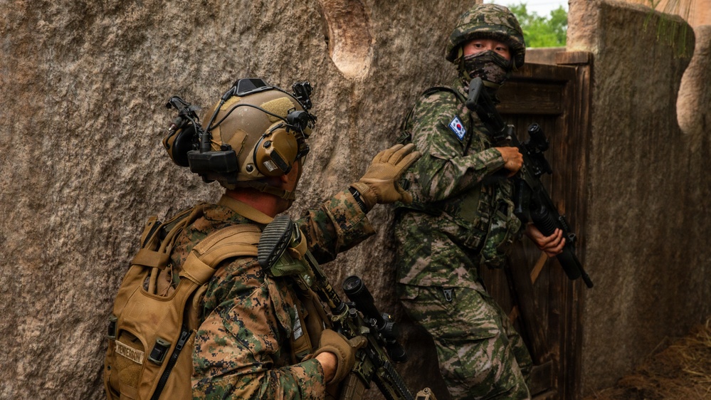 Multinational Marines conduct amphibious raid training