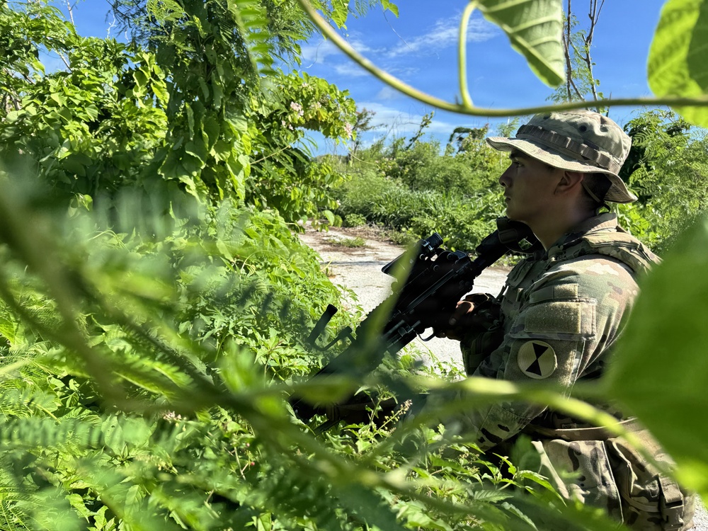 2-3 INF Valiant Shield 26