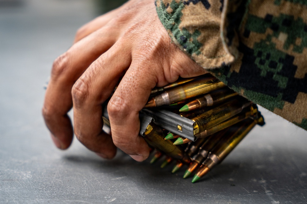 Fuji Viper 26.3 | U.S. Marines Conduct a Short- and Long-Bay Live-Fire Range