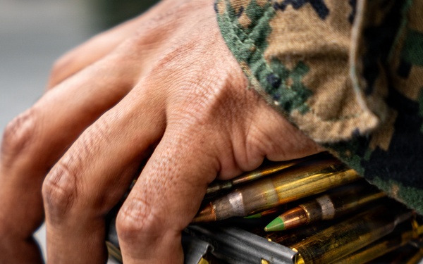 Fuji Viper 26.3 | U.S. Marines Conduct a Short- and Long-Bay Live-Fire Range