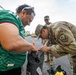 Jersey Guard Assists FIFA World Cup