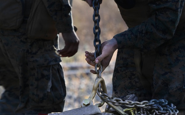 Operation Forest Sentinel 2026: U.S. Marines with 4th MLG prepare to execute HST Mission