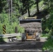 Operation Forest Sentinel 2026: U.S. Marines with 4th MLG execute Trail Maintenance