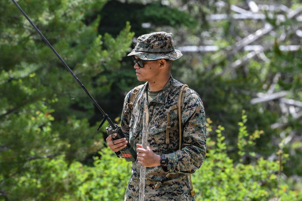 Operation Forest Sentinel 2026: U.S. Marines with 4th MLG execute Trail Maintenance