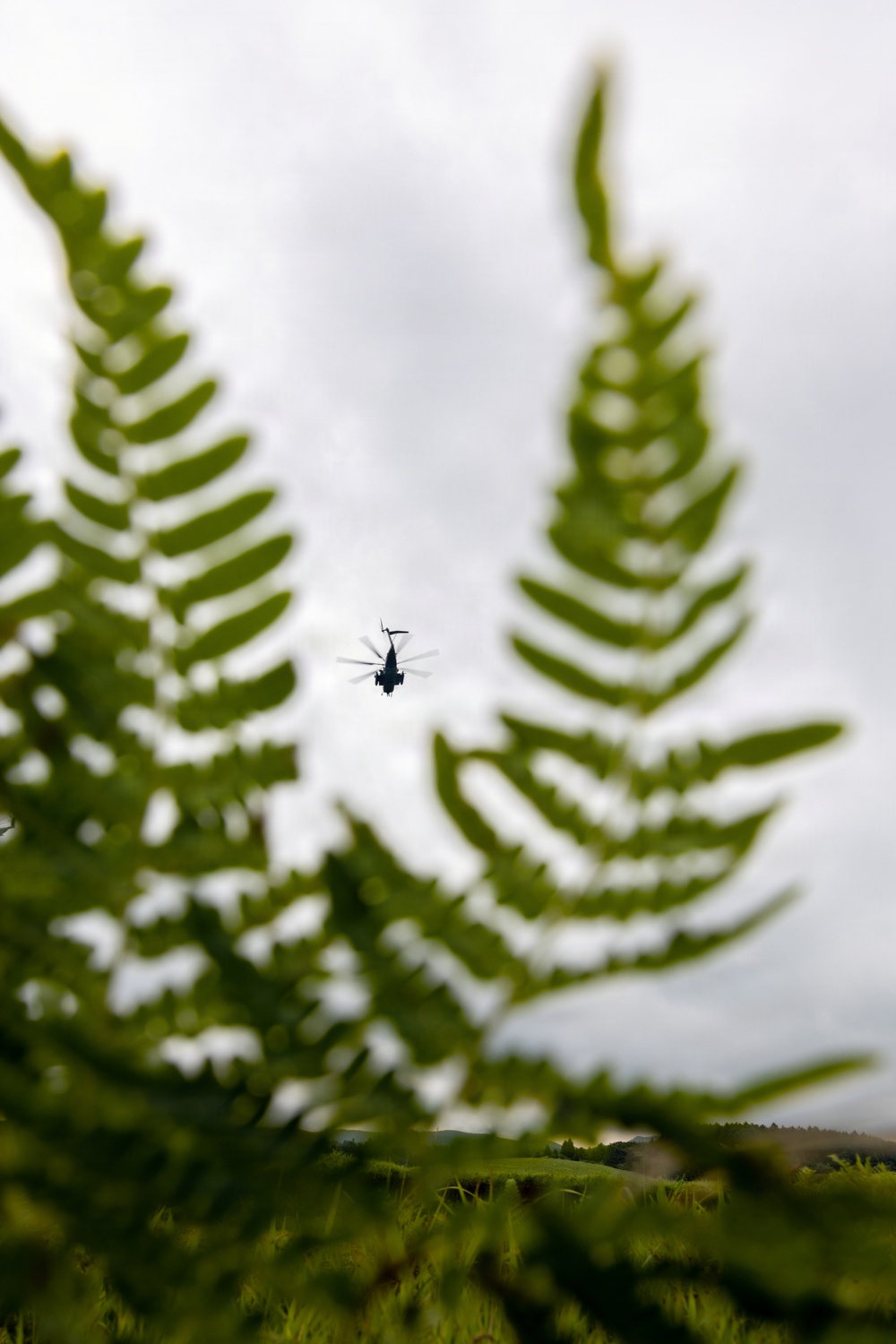 HMH-361 lands at a FARP site